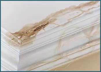 Pompano Beach Restoration Company Pompano Beach, FL 561-246-6503 Pompano Beach Restoration Company Pompano Beach, FL 561-246-6503