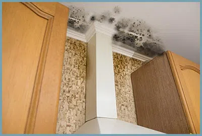 Pompano Beach Restoration Company Pompano Beach, FL 561-246-6503