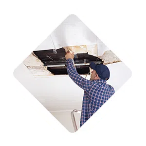 Pompano Beach Restoration Company Pompano Beach, FL 561-246-6503