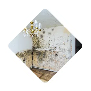 Pompano Beach Restoration Company Pompano Beach, FL 561-246-6503 Pompano Beach Restoration Company Pompano Beach, FL 561-246-6503